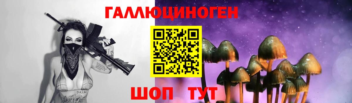 Пенза  Галлюциногенные грибы Magic Shrooms  Галлюциногенные грибы Cubensis  Вход с VPN 